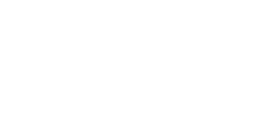 Vivo Seguros